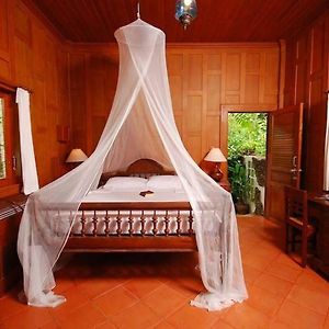 King Room Garden View